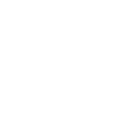 دليل dblue bunny